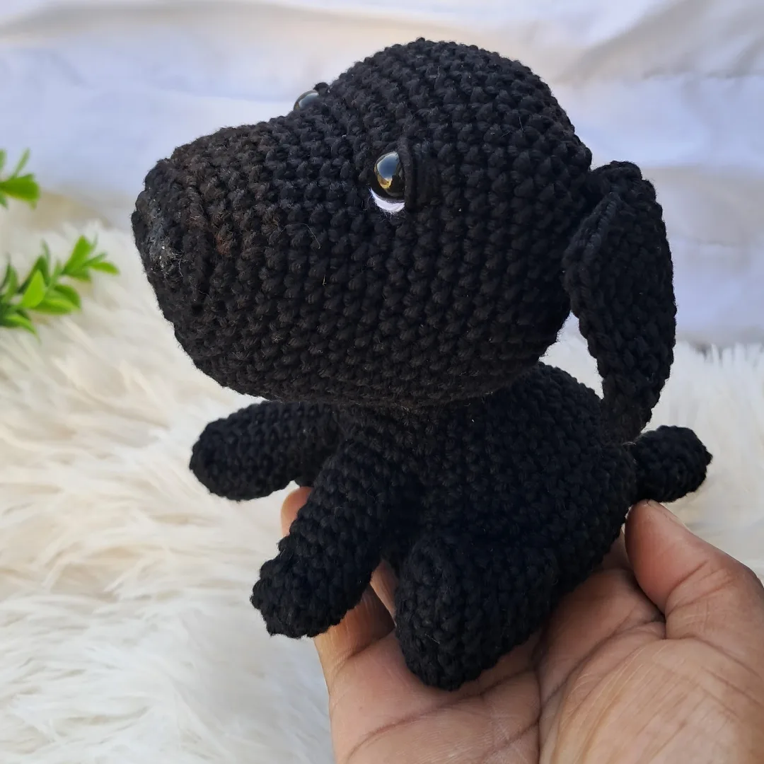 Cachorro Pretinho — foto 2