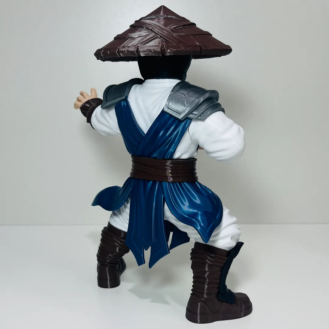 Raiden - Fanart — foto 3