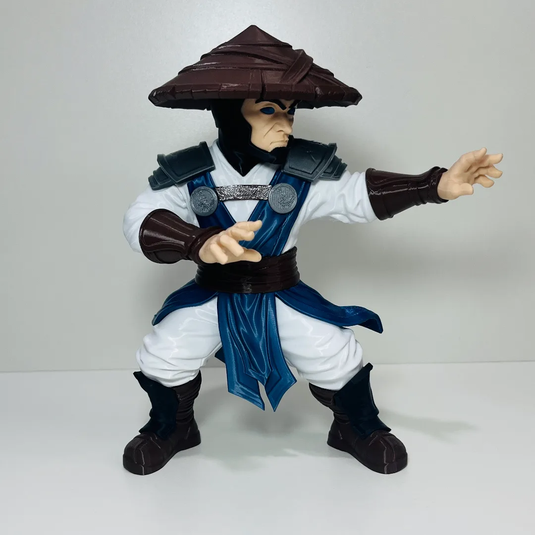Raiden - Fanart — foto 2