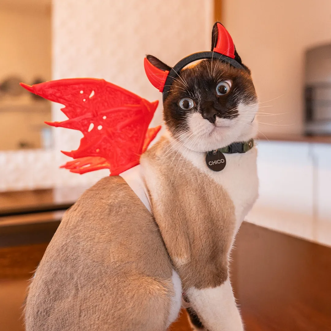 Fantasia para Gatos - Diabinho — foto 2