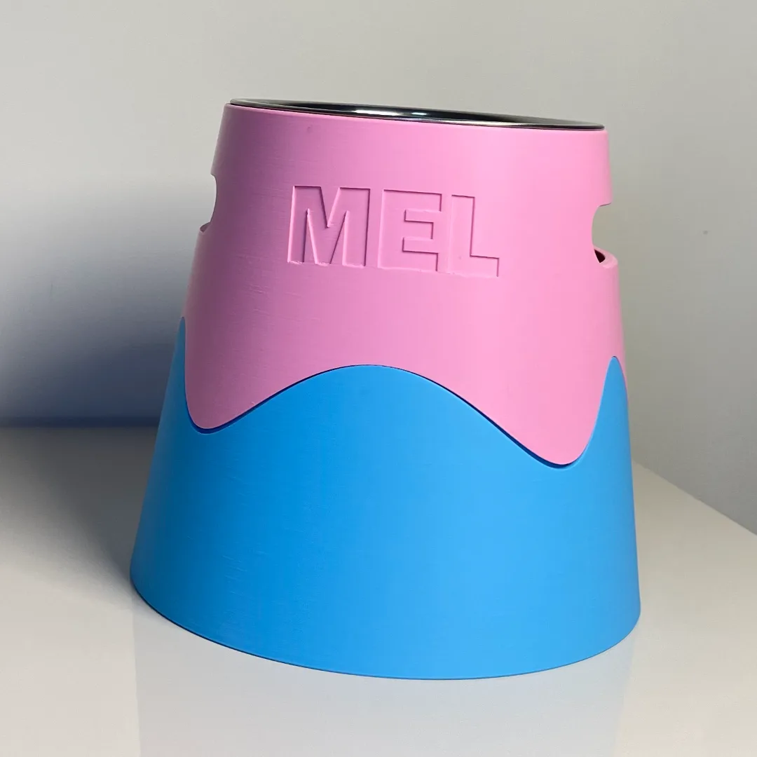 Comedouro Personalizado para Pet com Nome — foto 3