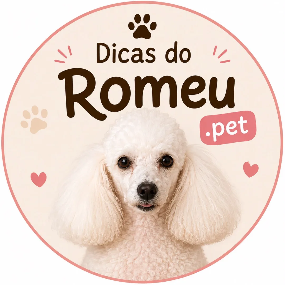 Dicas do Romeu