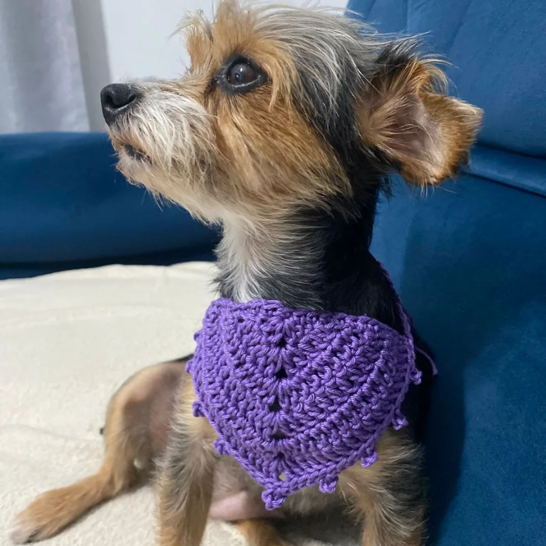 Bandana Pet — foto 2